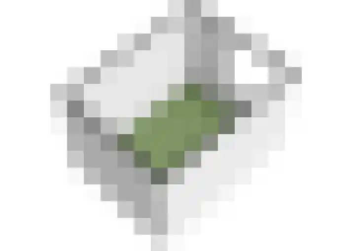 Camphuysendreef 19 Leiderdorp thumbnail 48