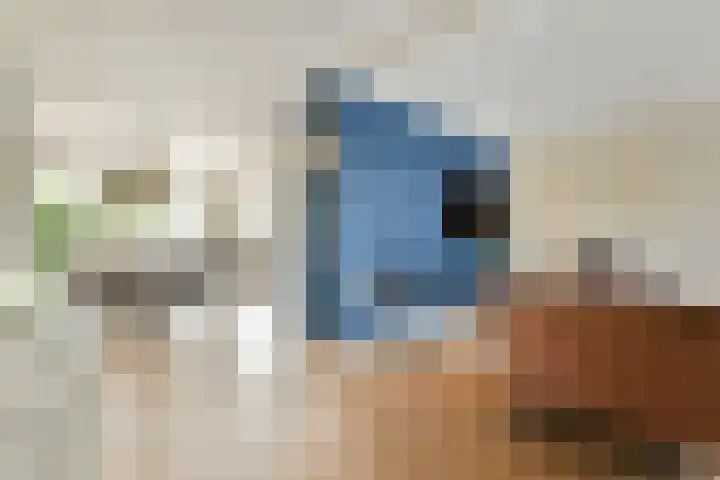 Camphuysendreef 19 Leiderdorp thumbnail 6