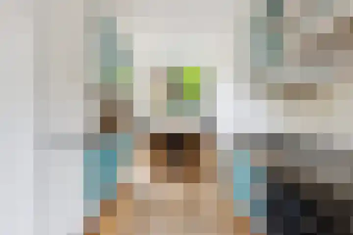 Camphuysenkade 14 Alkmaar thumbnail 10