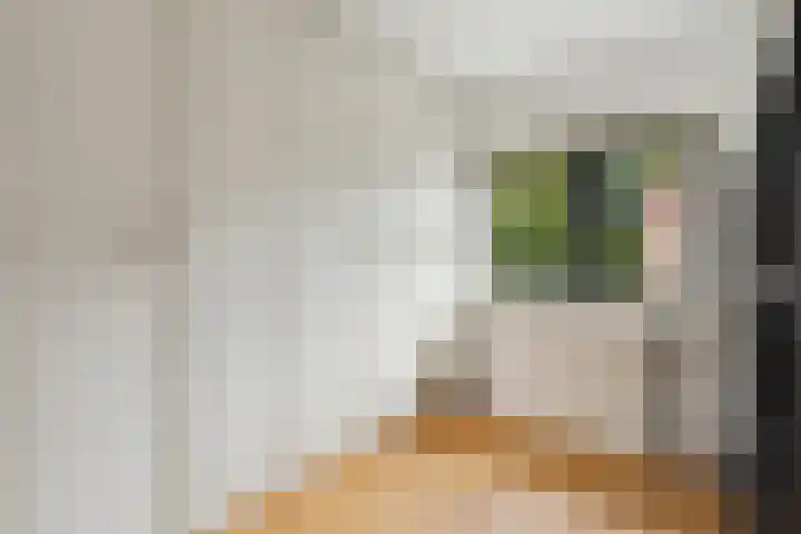 Camphuysenkade 14 Alkmaar thumbnail 16