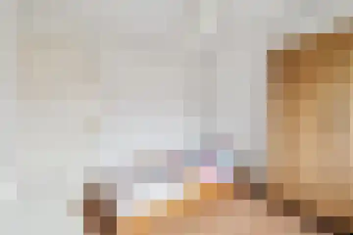 Camphuysenkade 14 Alkmaar thumbnail 18