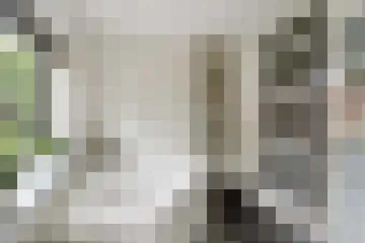 Camphuysenkade 14 Alkmaar thumbnail 21