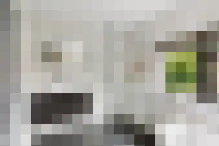 Camphuysenkade 14 Alkmaar thumbnail 22