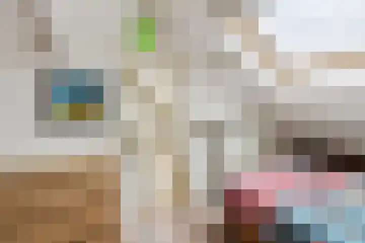 Camphuysenkade 14 Alkmaar thumbnail 27