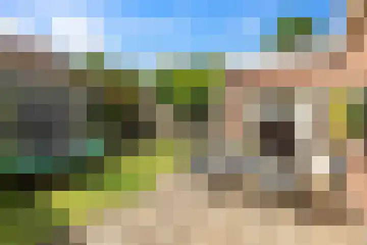 Camphuysenkade 14 Alkmaar thumbnail 28