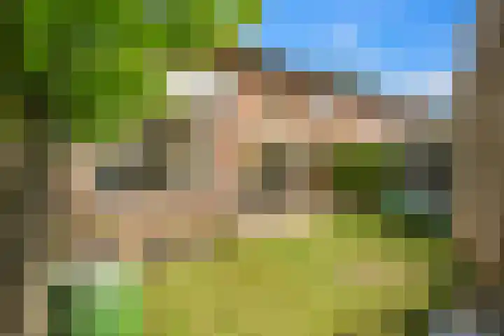 Camphuysenkade 14 Alkmaar thumbnail 29