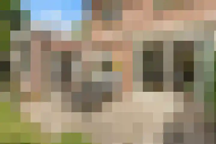 Camphuysenkade 14 Alkmaar thumbnail 31