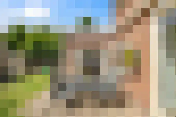 Camphuysenkade 14 Alkmaar thumbnail 32