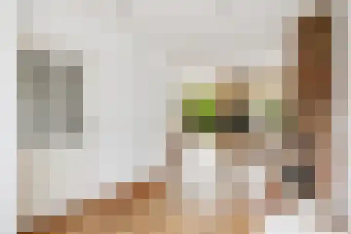 Camphuysenkade 14 Alkmaar thumbnail 6