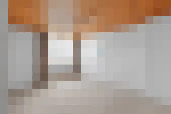 Camphuysenlaan 24 Roosendaal thumbnail 15