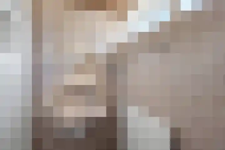 Camphuysenlaan 24 Roosendaal thumbnail 17