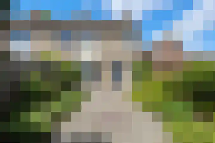 Camphuysenlaan 24 Roosendaal thumbnail 32