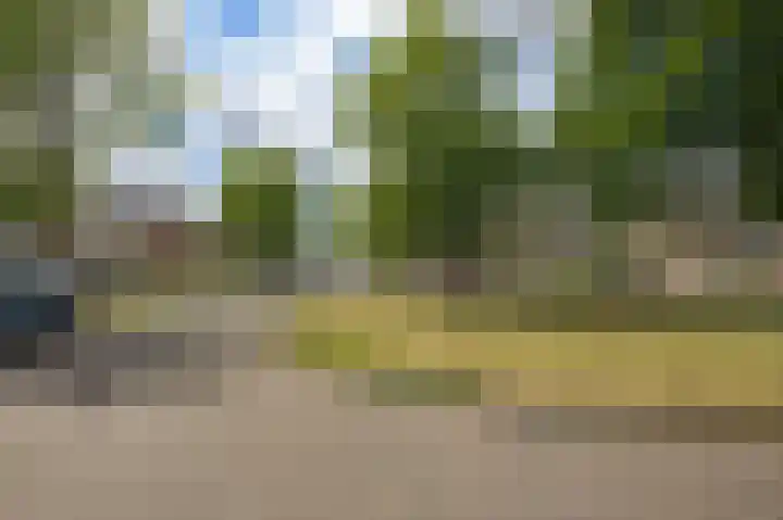 Camphuysenlaan 24 Roosendaal thumbnail 38