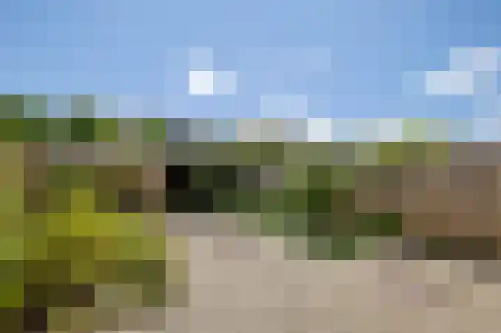 Camphuysenlaan 24 Roosendaal thumbnail 5