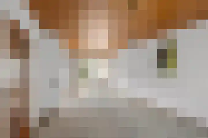 Camphuysenlaan 24 Roosendaal thumbnail 6