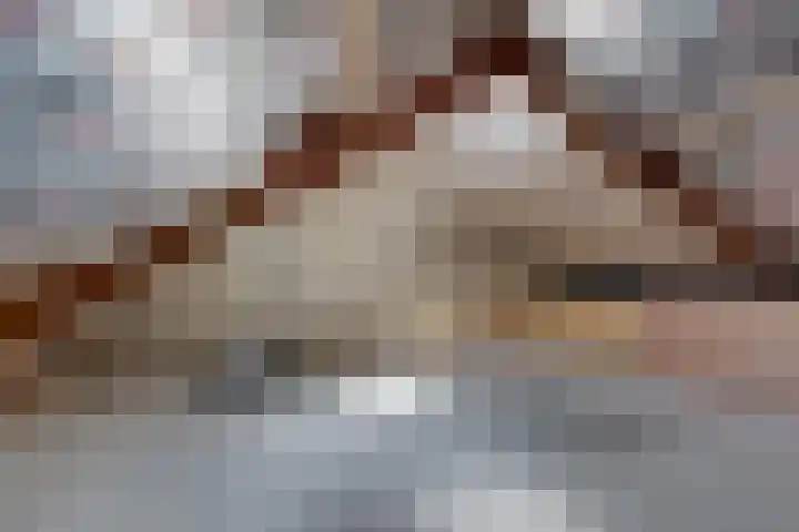 Camphuysenstraat 12 Hengelo thumbnail 30