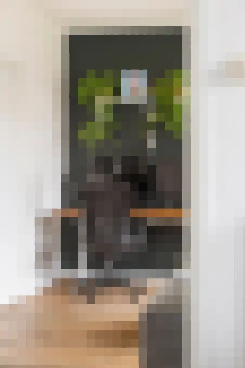 Camphuysenstraat 163 Groningen thumbnail 10