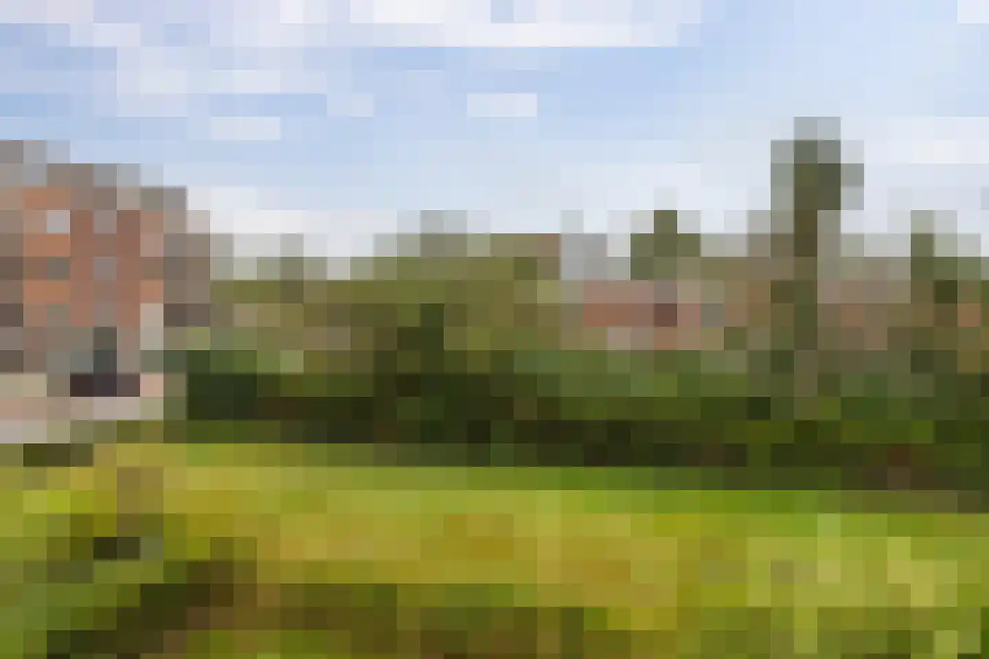 Camphuysenstraat 163 Groningen thumbnail 27