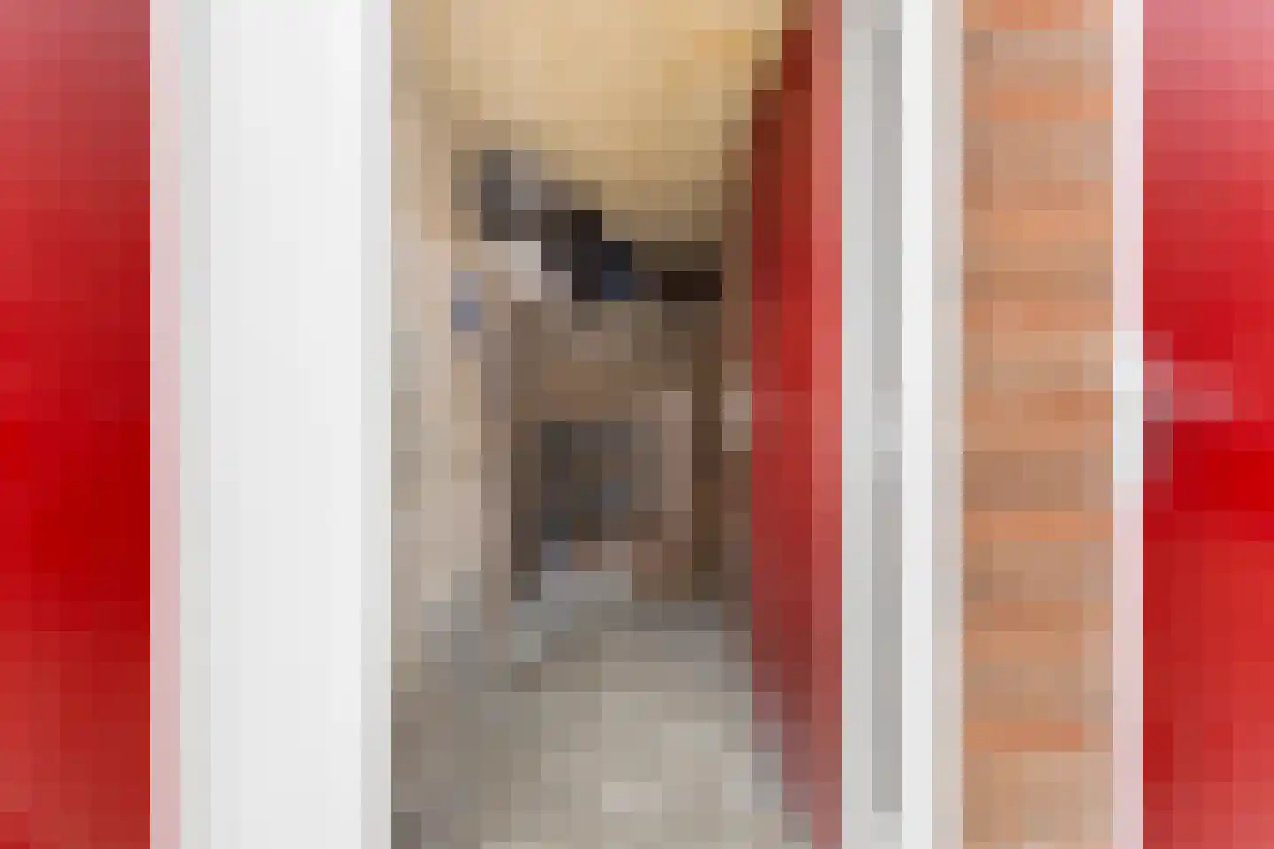 Camphuysenstraat 163 Groningen thumbnail 29