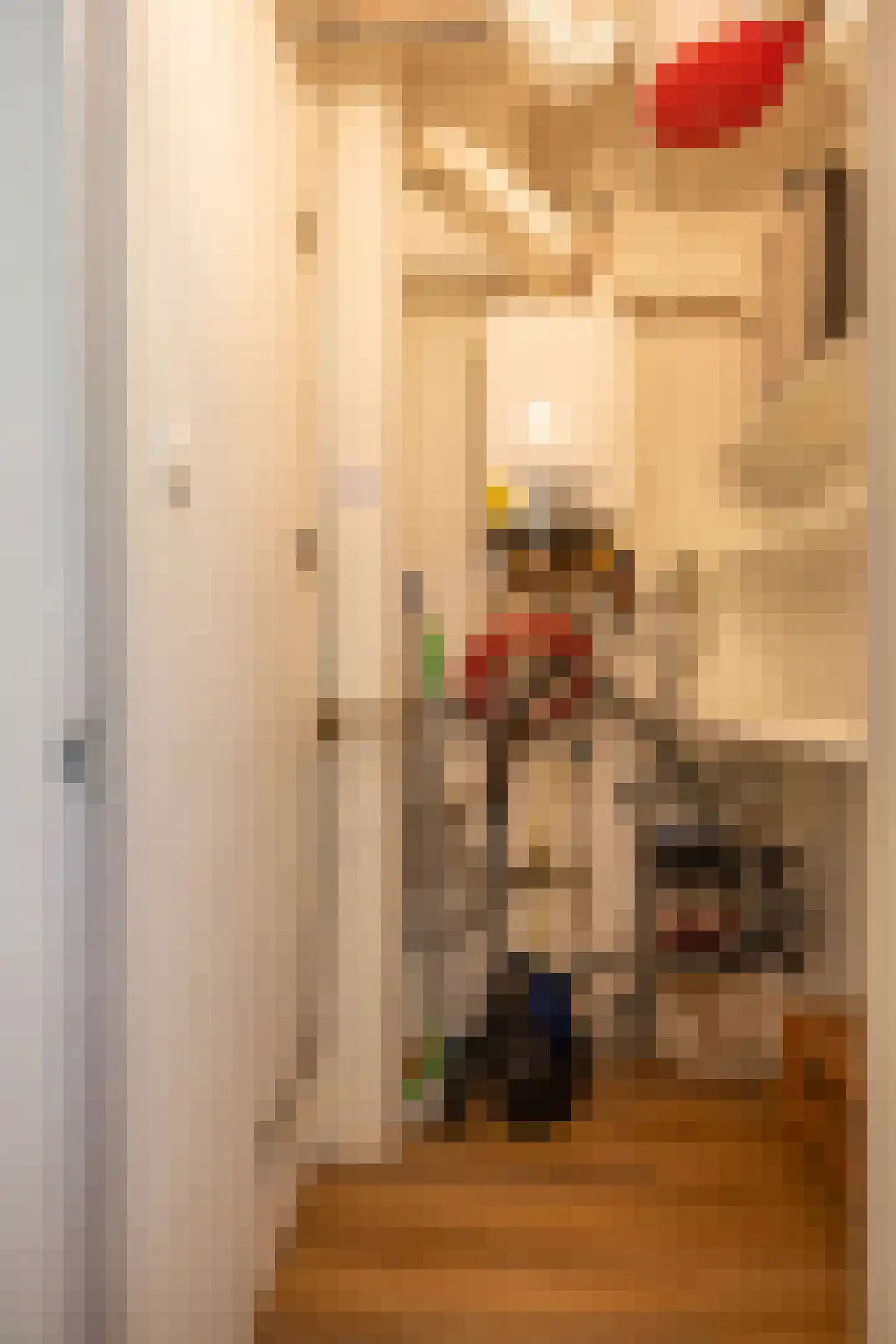 Camphuysenstraat 179 Groningen thumbnail 26