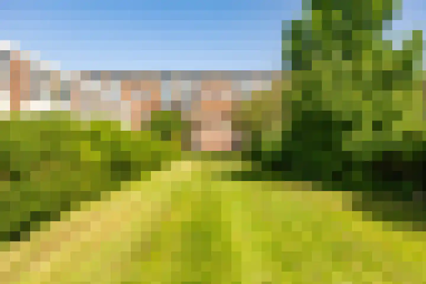 Camphuysenstraat 179 Groningen thumbnail 27