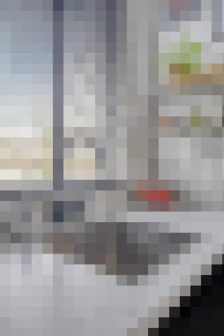 Camphuysenstraat 187 Groningen thumbnail 15