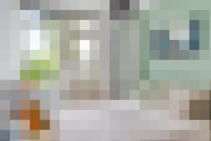 Camphuysenstraat 187 Groningen thumbnail 18