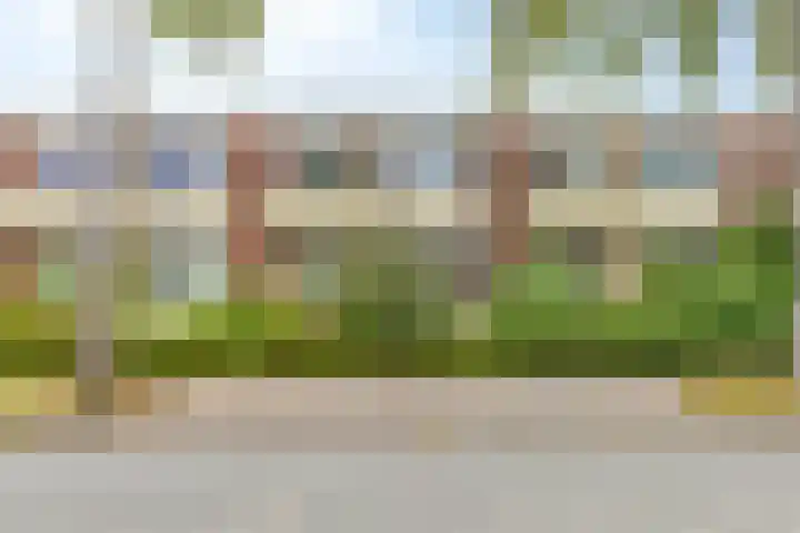 Camphuysenstraat 187 Groningen thumbnail 31