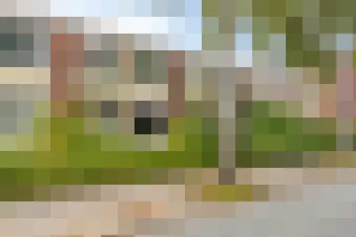 Camphuysenstraat 187 Groningen thumbnail 32