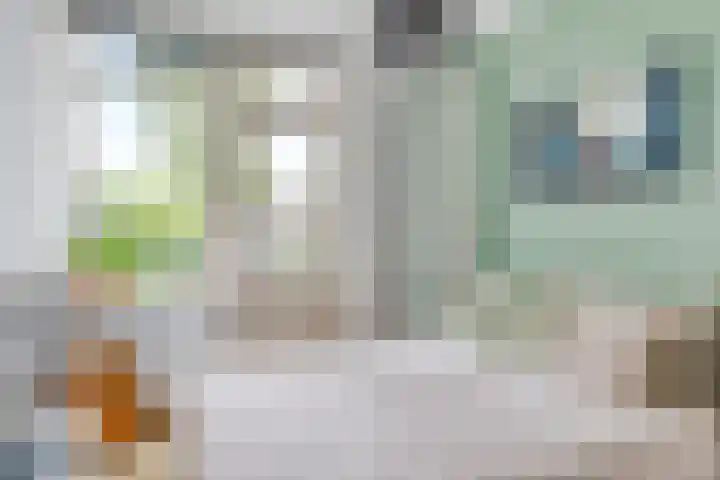 Camphuysenstraat 187 Groningen thumbnail 4