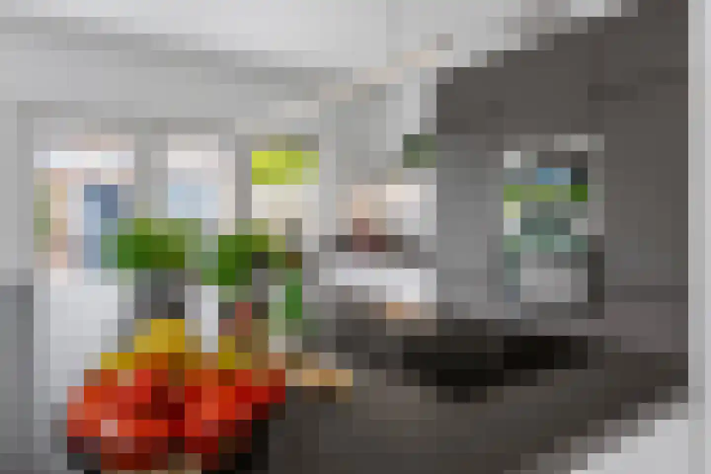 Camphuysenstraat 22 Vleuten thumbnail 18