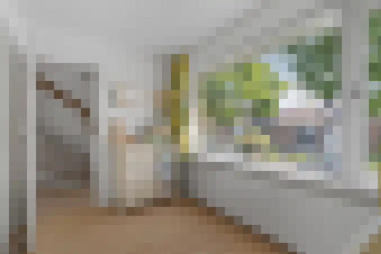 Camphuysenstraat 22 Vleuten thumbnail 26