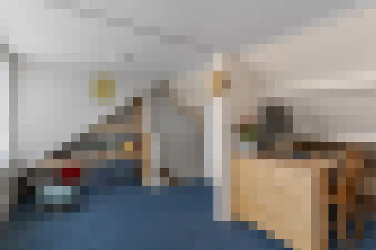 Camphuysenstraat 22 Vleuten thumbnail 31