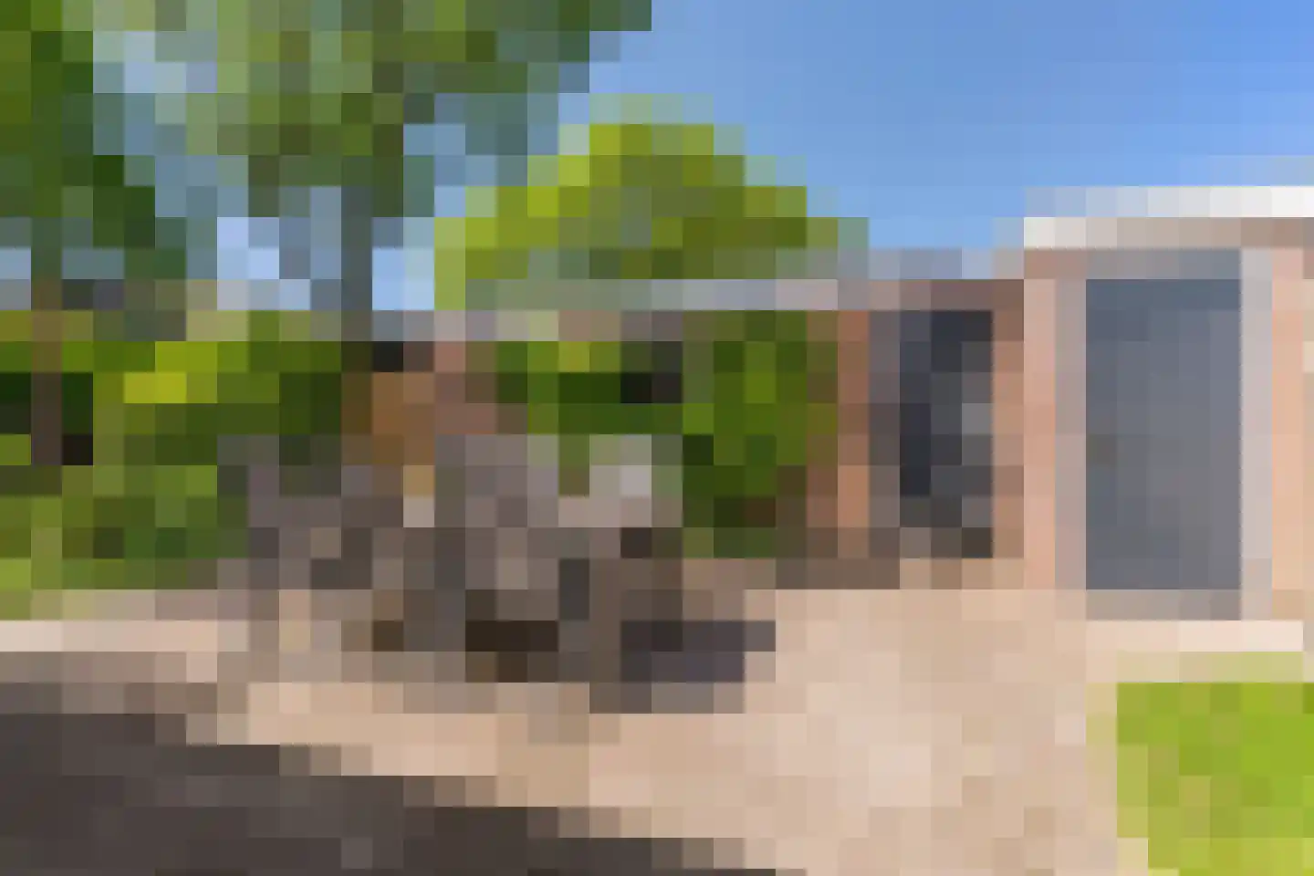 Camphuysenstraat 22 Vleuten thumbnail 32