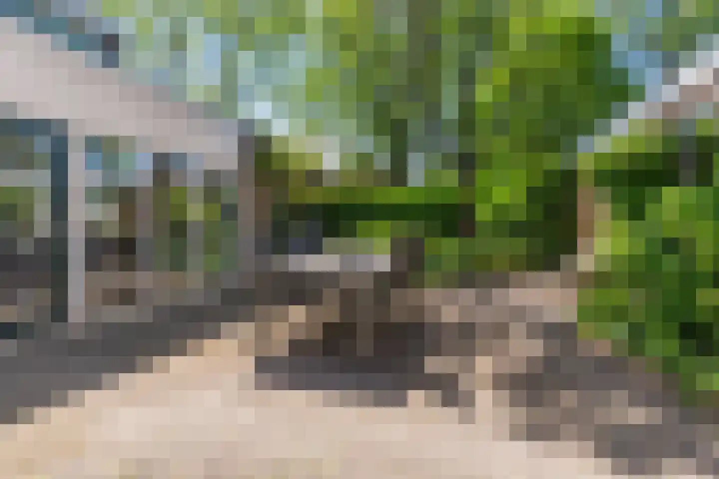 Camphuysenstraat 22 Vleuten thumbnail 33