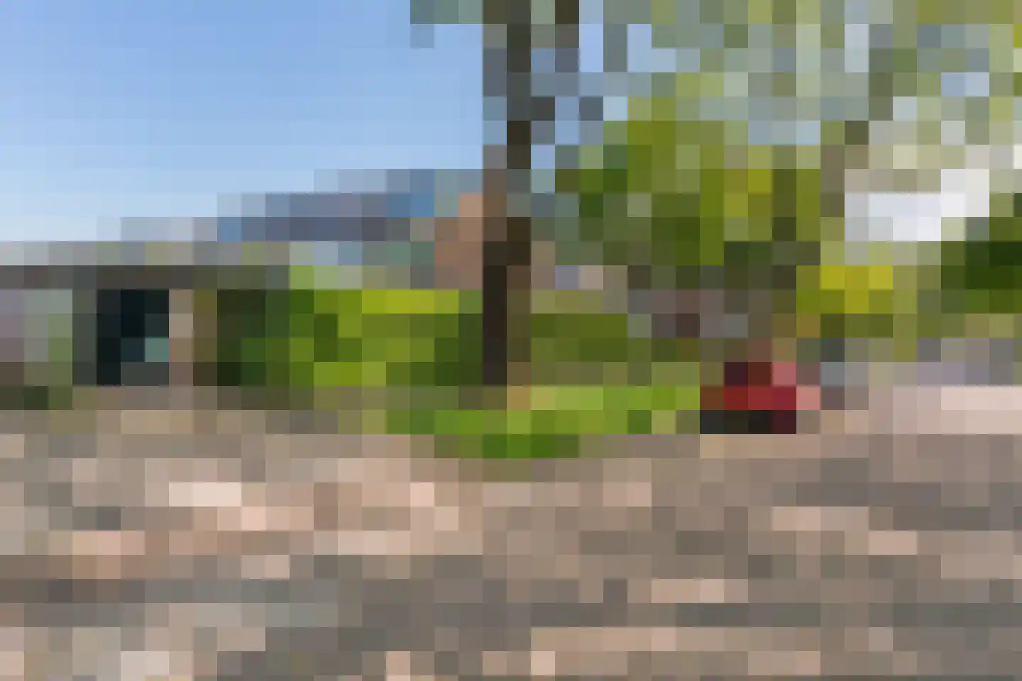 Camphuysenstraat 22 Vleuten thumbnail 36
