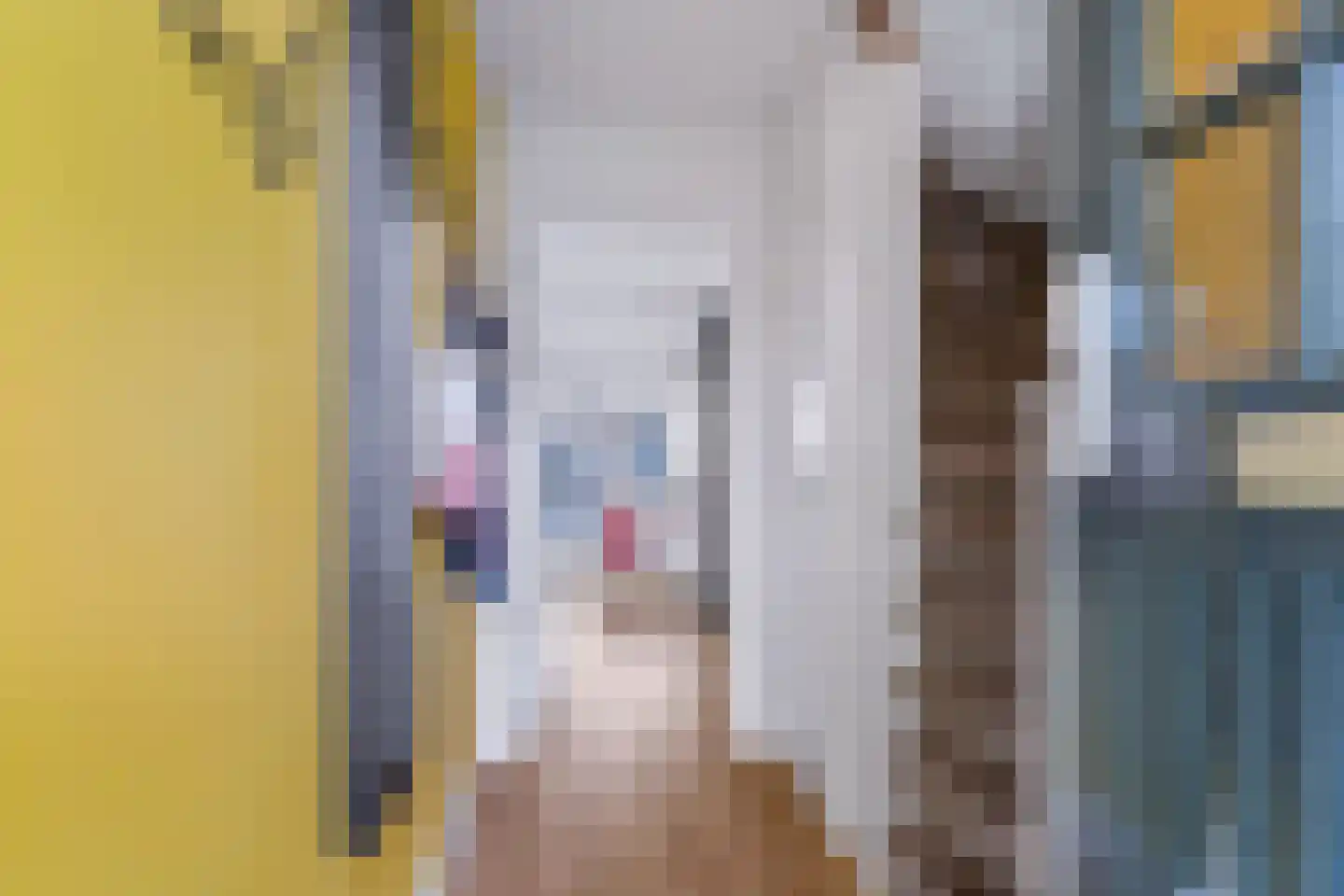 Camphuysenstraat 22 Vleuten thumbnail 4