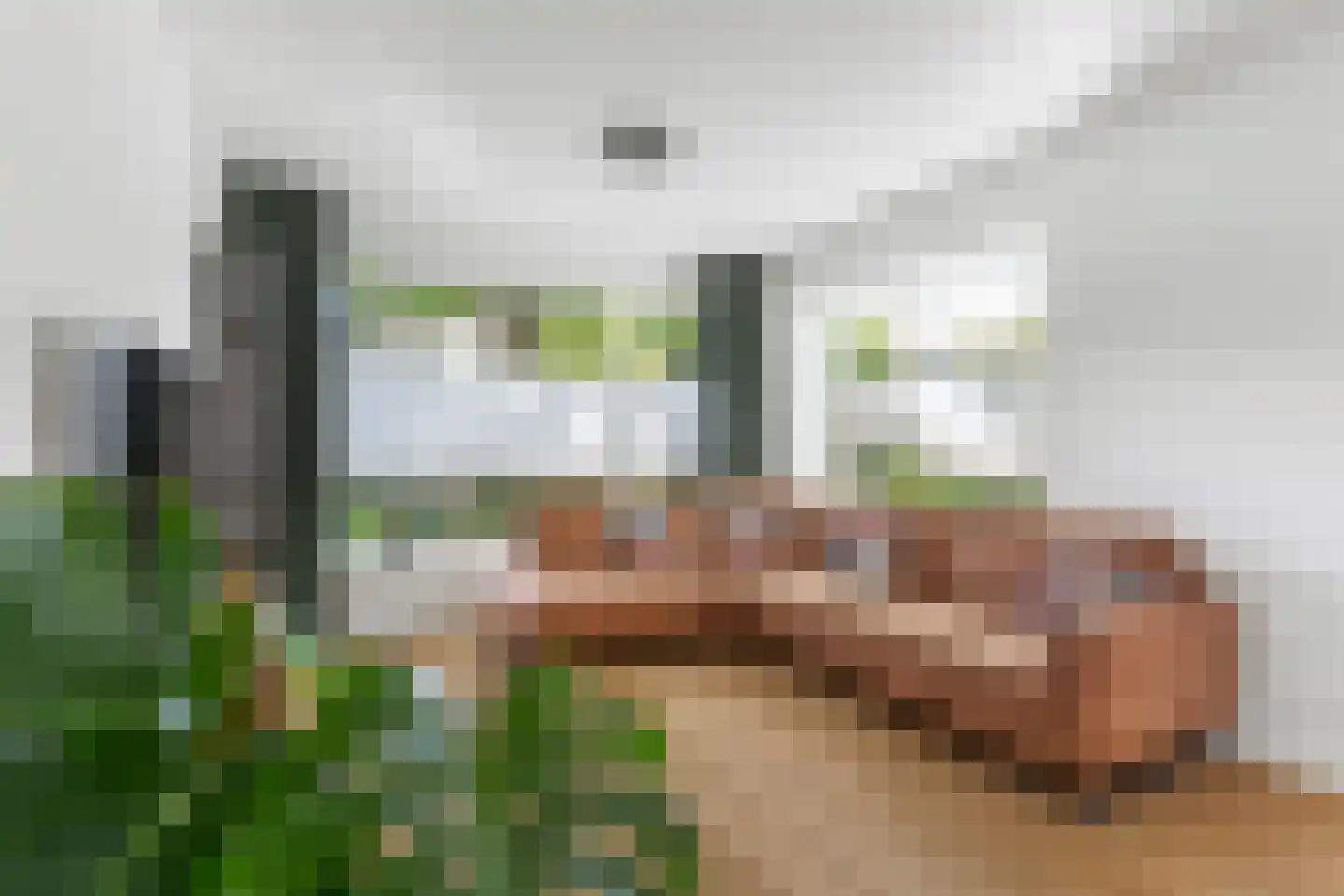 Camphuysenstraat 22 Vleuten thumbnail 6