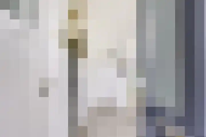 Camphuysenstraat 24 Vleuten thumbnail 12