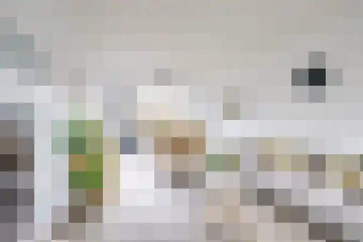 Camphuysenstraat 24 Vleuten thumbnail 16