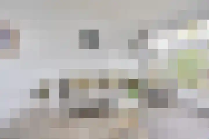Camphuysenstraat 24 Vleuten thumbnail 18