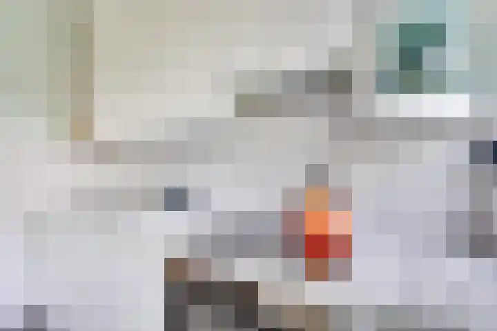 Camphuysenstraat 24 Vleuten thumbnail 23