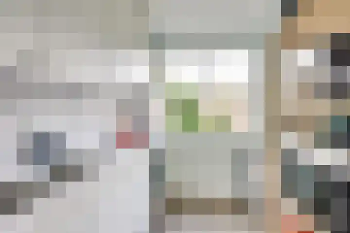 Camphuysenstraat 24 Vleuten thumbnail 25