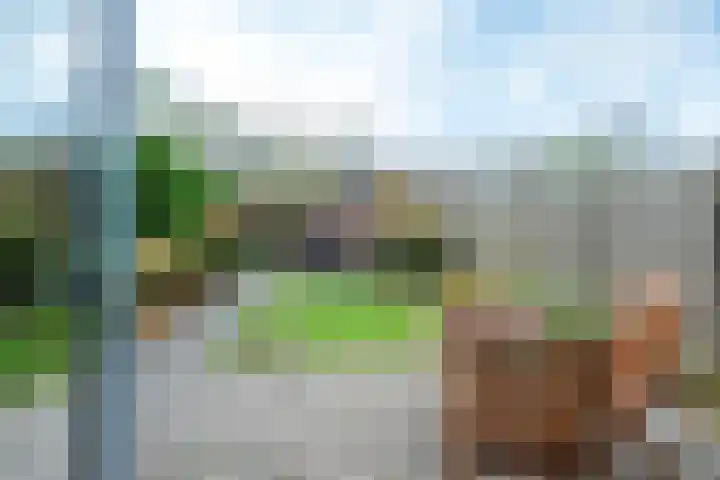 Camphuysenstraat 24 Vleuten thumbnail 30