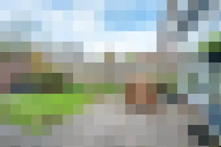 Camphuysenstraat 24 Vleuten thumbnail 31
