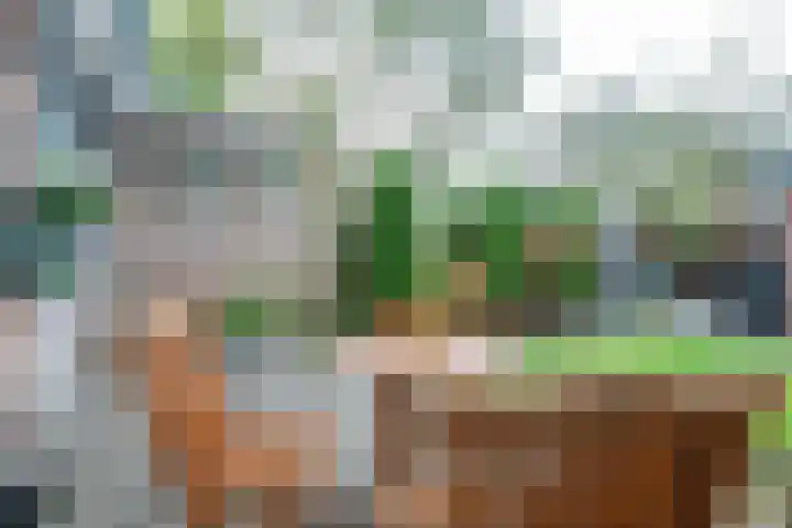 Camphuysenstraat 24 Vleuten thumbnail 32