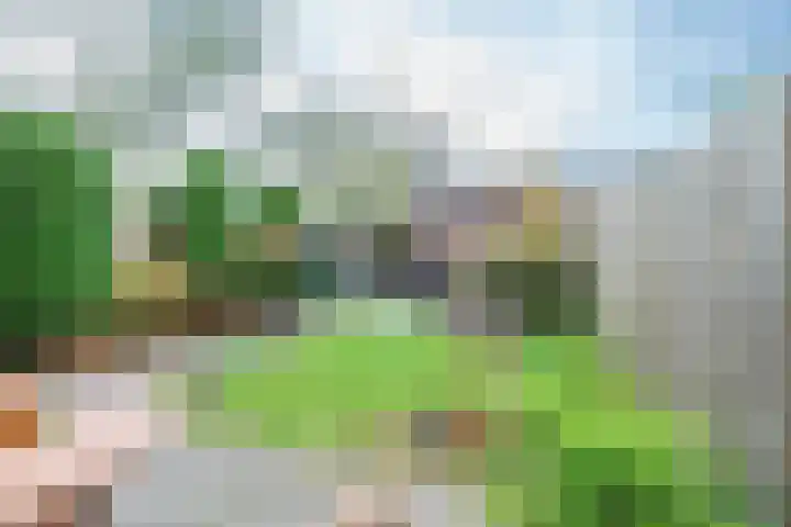 Camphuysenstraat 24 Vleuten thumbnail 33