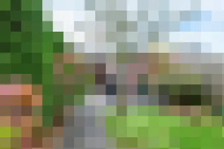 Camphuysenstraat 24 Vleuten thumbnail 34