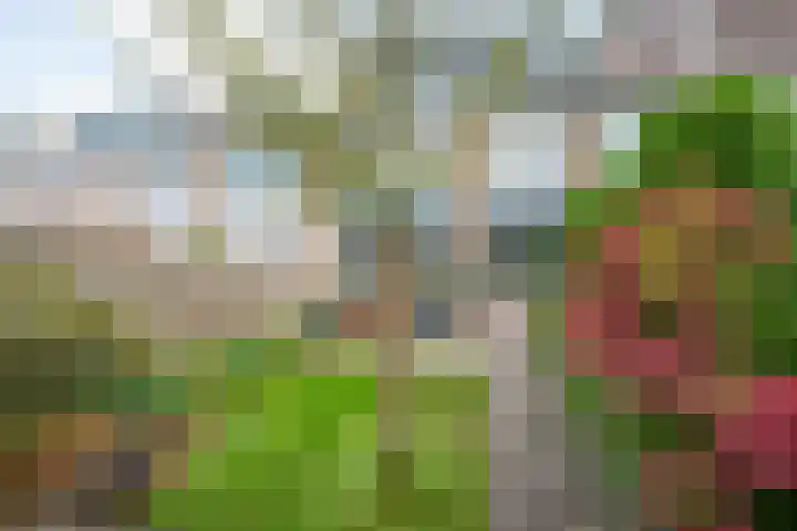 Camphuysenstraat 24 Vleuten thumbnail 36