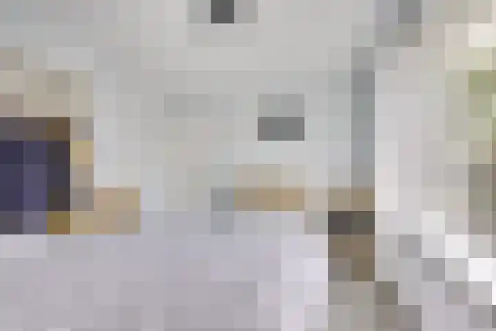 Camphuysenstraat 24 Vleuten thumbnail 39